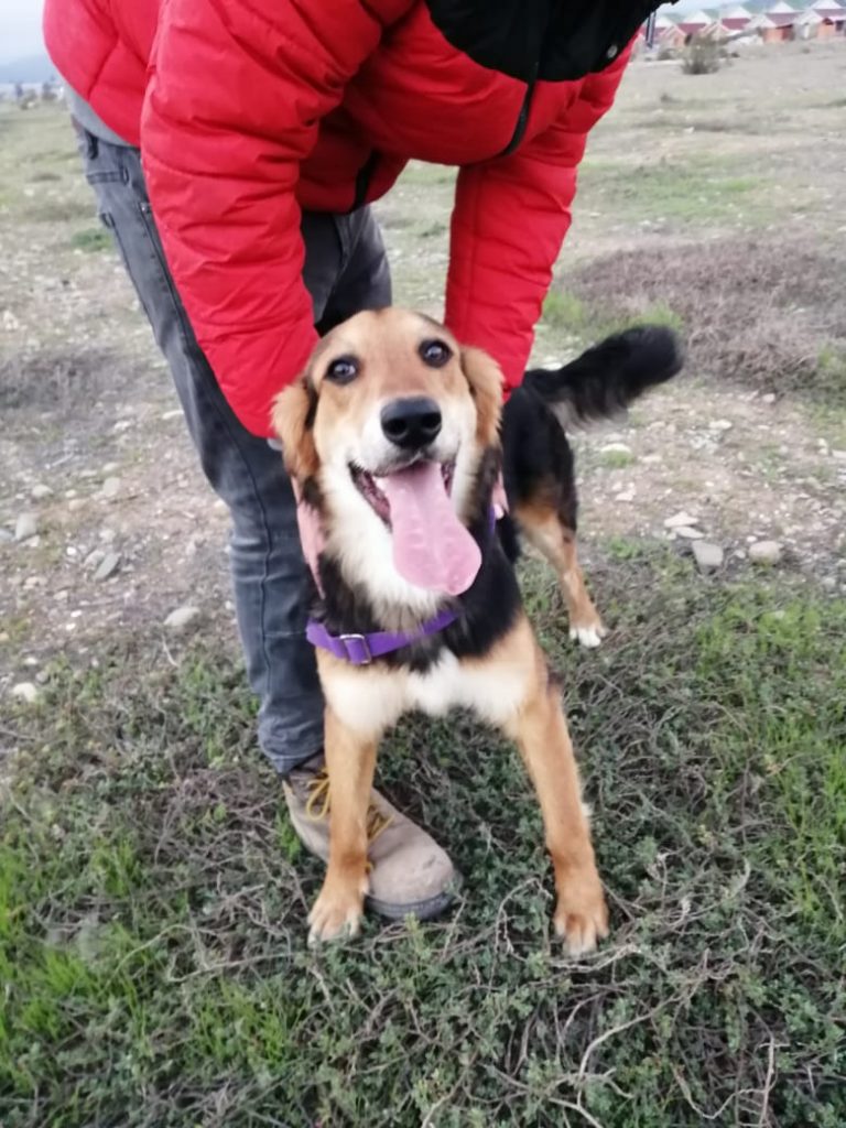 Bartolito 9