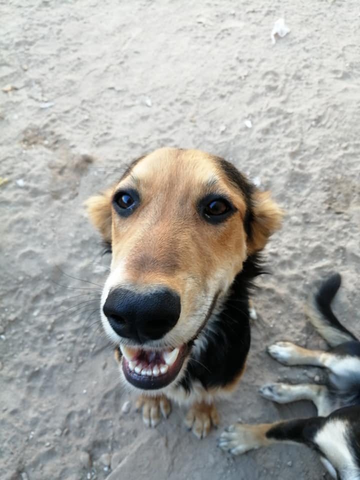 bartolito 3