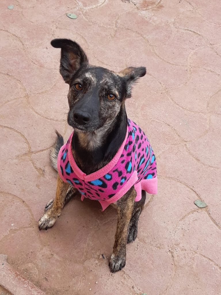 cacerolita 5