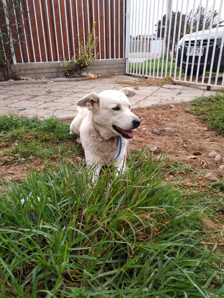 niña y blanca 2