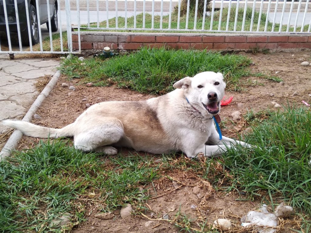 niña y blanca 3