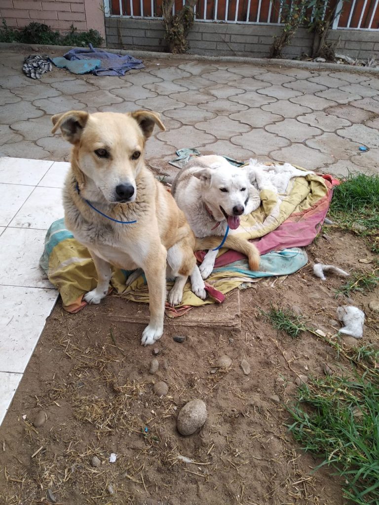 niña y blanca 6