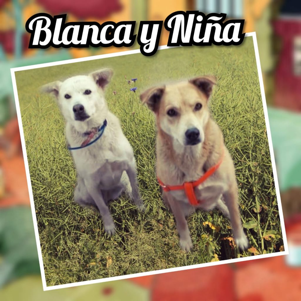 Niña y blanca 8